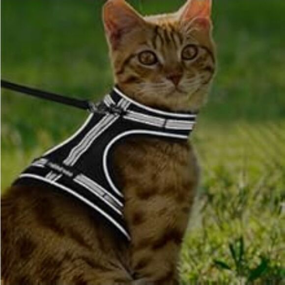 🔹️NIB Black Cat or Dog Reflective Harness & Leash Small - Picture 3 of 16